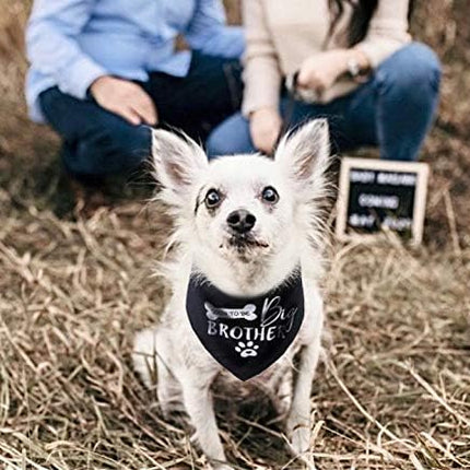 Big Brother Dog Bandana Reversible Triangle Bibs Pet Scarf