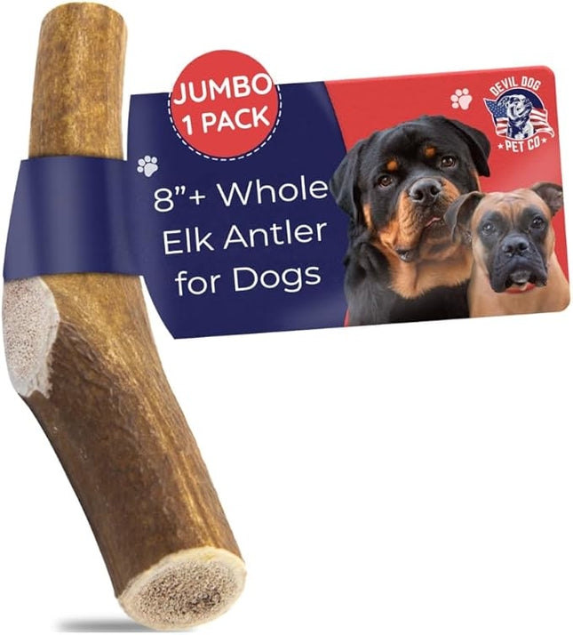 Devil Dog Pet Co. Elk Antlers for Dogs, Jumbo 8"+, 1 Pack, Grade A Long Lasting Chew for Aggressive Chewers, Premium USA Naturally Shed Antler – Healthy, No Odor, Durable Dog Chew