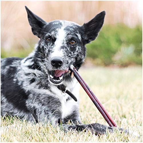 EcoKind Pet Treats All-Natural Premium 12 Inch Bully Sticks for Dogs | 16 Oz. Bag | Delicious Protein Rich Dog Chews