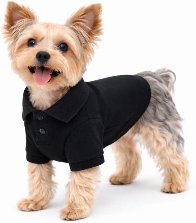 lovelonglong Basic Dog Polo Shirts Premium Cotton, Polo T-Shirts for Large Medium Small Dogs with a Two-Button Collar Blank Color Black M