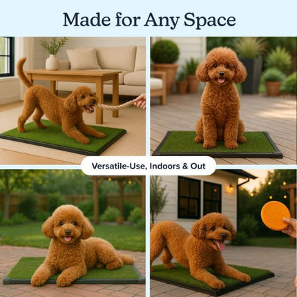 Artificial Grass Puppy Pee Pad for Dogs and Small Pets - 16x20 Inch, Reusable 3-Layer Potty Training Pad with Tray - Dog House and Pet Supplies by PETMAKER