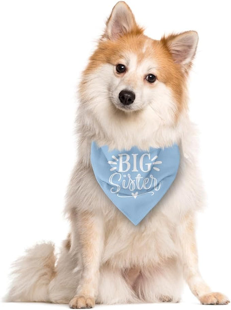 Big Sister Dog Bandana, Light Blue Pet Scarf Accessories, Pet Triangle Scarf, Dog Bandana for Small Medium Dogs, Baby Announcement Dogs Bandana (M)