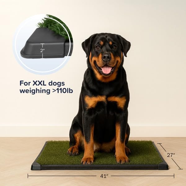 Artificial Grass Puppy Pee Pad for Dogs and Small Pets - 41X27 Inch, Reusable 4-Layer Turf Pads for Dogs with Tray - Indoor and Outdoor Fake Grass Potty Pet Supplies by PETMAKER