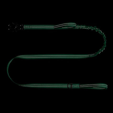 ICEFANG Tactical Dog Leash,K9 Training Walking Bungee Lead with 2 Control Handle,Heavy Duty Quick Release Metal Clasp,for Medium Large Breed (Teal, 6 FT)