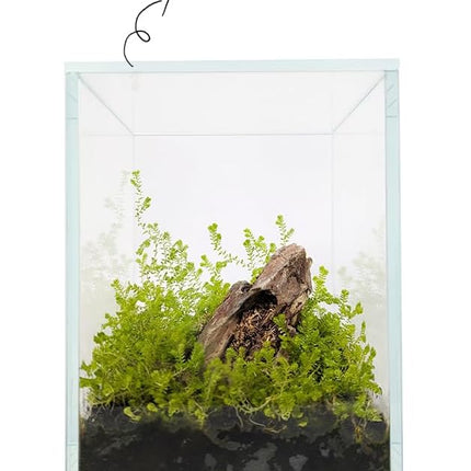 Nano Tall Rimless Frameless Extra Clear Glass Aquarium, Low Iron Glass Tank, 5mm Glass, White Leveling Mat Included, w/Lids Options