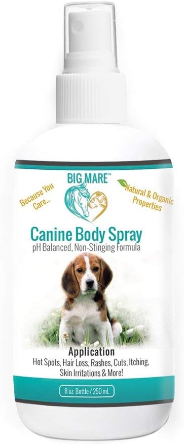 Big Mare Dog Body Spray | Clinically Proven Effective On Hotspots, Yeast, Dermatitis, Staph, Ringworm, Hair Loss, & More. Antibacterial & Antifungal | Veterinary Approved & Recommended. (8 oz)