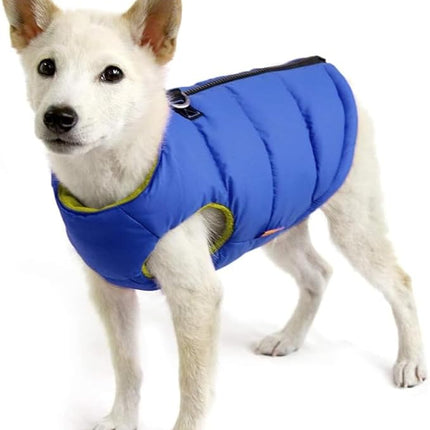 Gooby Padded Vest Dog Jacket - Solid Blue, Medium - Warm Zip Up Vest Fleece Jacket with Dual D Ring Leash Water Resistant for Small to Medium Dogs