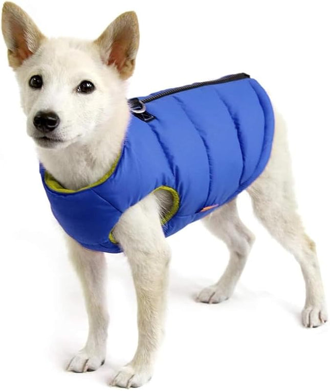Gooby Padded Vest Dog Jacket - Solid Blue, Medium - Warm Zip Up Vest Fleece Jacket with Dual D Ring Leash Water Resistant for Small to Medium Dogs