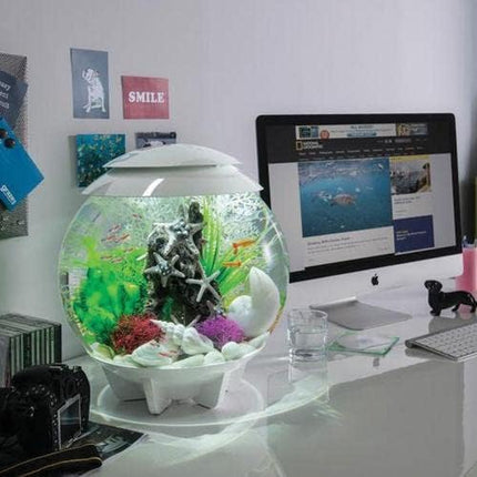 biOrb Halo 30 Acrylic 8-Gallon Aquarium with Multi-Color Remote-Controlled LED Lights Modern Tank for Tabletop Display, White