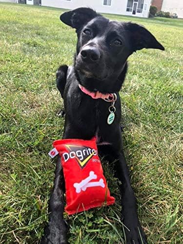 SPOT Fun Foods The Whimsical Dog Toy with Squeaker | Interactive Plush Chew and Squeak Toy for Small and Large Dog Breeds | Dogritos Bag, Large