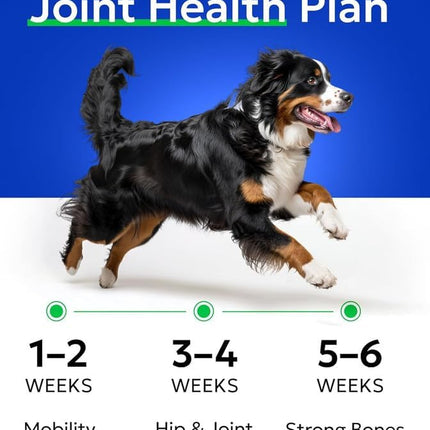 Glucosamine Chondroitin Dog Hip & Joint Supplement - Joint Pain Relief - Hip & Joint Chews for Dogs - Joint Support Large Breed - Senior Doggie Vitamin Pills Joint Health - (240 Treats - Chicken)