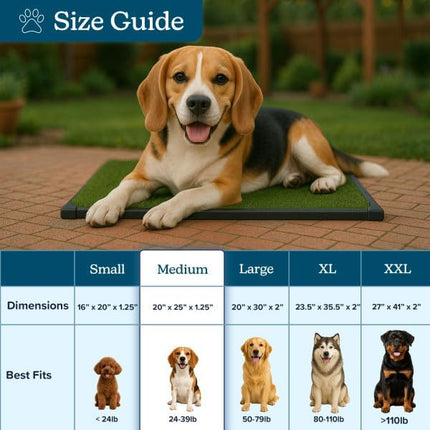 Artificial Grass Puppy Pee Pad for Dogs and Small Pets - 20x25 Inch, Reusable 3-Layer Turf Pads for Dogs with Tray - Indoor and Outdoor Fake Grass Potty Pet Supplies by PETMAKER