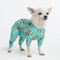 Dog Apparel & Accessories