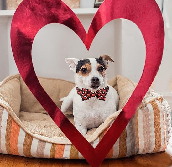 Lionet Paws Valentine's White Dog Collar, Cute Heart Black Dog Collar for Medium Dogs, Adjustable Cotton Love Pet Collars for Small Medium Dogs