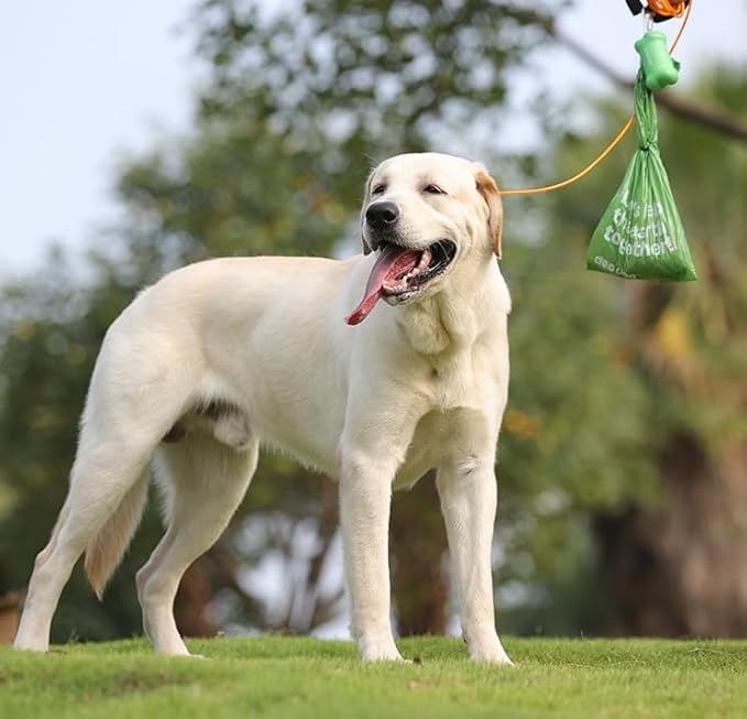 Dog Poop Bags with Handles 300 Counts Big Sizes Leak Proof and Extra Thick Waste Bags Refill Rolls for Walking Small Medium Large Dogs Cats Litter Unscented