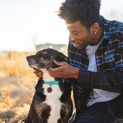 Dog Collar Light Blue Basic Dog Collars with Breathable Quick Release Nylon Pet Collar for Puppy Small Medium Large Dogs Boy