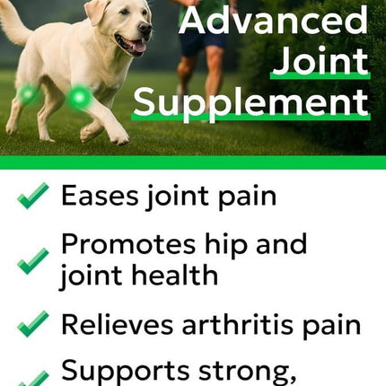 Glucosamine Chondroitin Dog Hip & Joint Supplement - Joint Pain Relief - Hip & Joint Chews for Dogs - Joint Support Large Breed - Senior Doggie Vitamin Pills Joint Health - (240 Treats - Chicken)