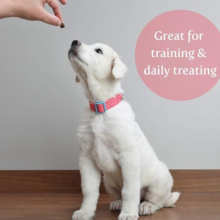 Exclusively Dog Best Buddy Bits Training Treats for Dogs and Puppies - All Natural, Baked in The USA, Ideal for Training & Agility, No Animal Byproducts - Peanut Butter Flavor, 5.5oz Resealable Bag