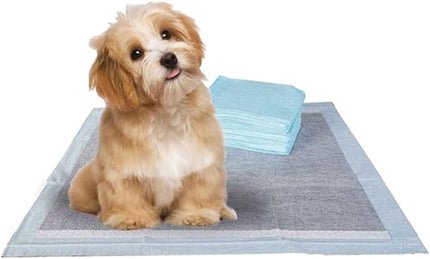 BV Charcoal Puppy Pads 100 Count 22"x22" - Leak-Proof Pee Pads for Dogs with 6-Layer Absorbent Design & Built-in Attractant - Dog Pad with Charcoal for Odor Control, Perfect for Puppies & Senior Dogs