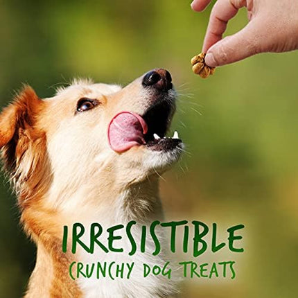 Fruitables Baked Dog Treats, Healthy Pumpkin Treat for Dogs, Low Calorie & Delicious, No Wheat, Corn or Soy, Made in the USA, Pumpkin and Apple Flavor, 12oz