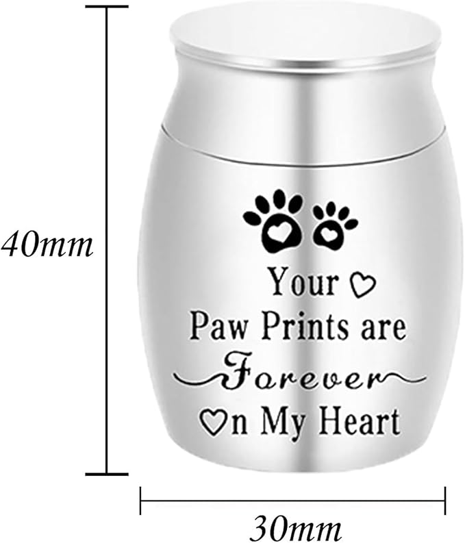 Small Pet Urns for Dogs Ashes Mini Urn Dog Ashes Cremation Keepsake Pet Memorial Urns Gift，Silver