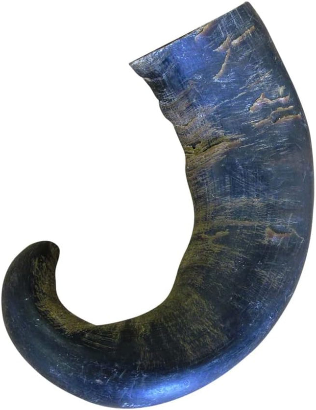 QT Dog - Buffalo Horn Medium - 3 Pack