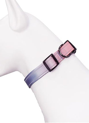 Roses&Poetry Reflective Dog Collar with Gradient Azure, Adjustable Durable Pet Collars for Small Medium Large Dogs (Azure-M)