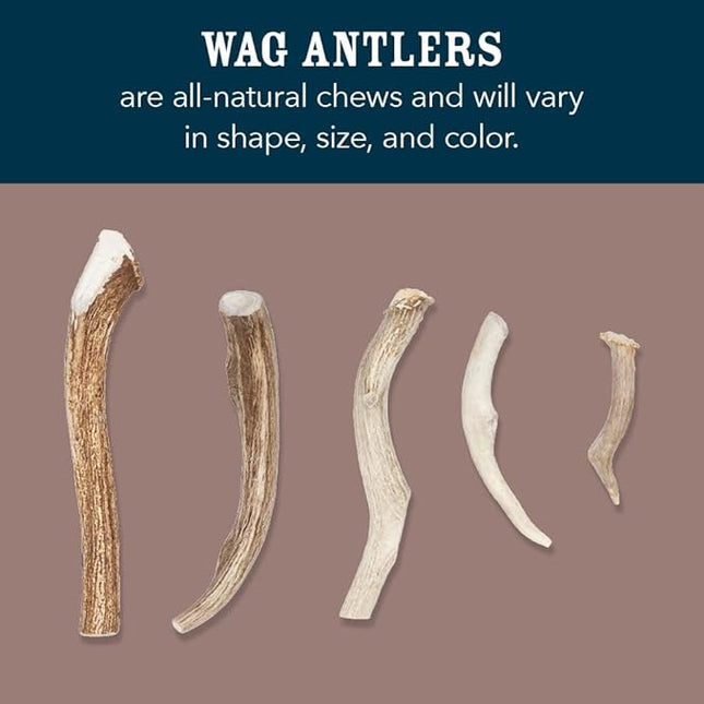 Amazon Brand - Wag Split Elk Antler, Naturally Shed, Long Lasting for Aggressive Chewers, Large (Best for Dogs 30-45 lbs)