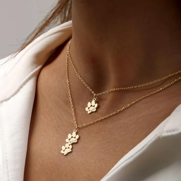 MeiceM Personalized Memorial Necklace,Custom engraving Pet Name pendant,Paw print necklace for women,Paw Print Pendant with Birthstone,Dog cat Loss Keepsake Jewelry (2 Paw Prints)