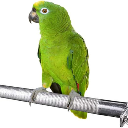 Bird Perch Stainless Steel Stand Parrot Rod Grinding Claws Trimming Beak Nails Grinding Stick Exercise Platform for Parakeet Cockatiel Conure African Grey Macaw Finch Bird Cage Accessories (L)