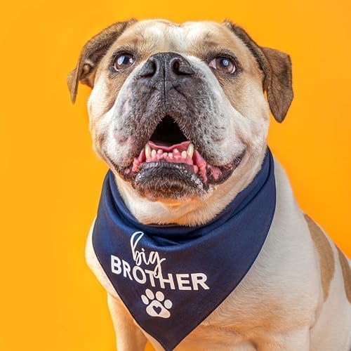 Big Brother Heart Paw Dog Bandana | 100% Cotton Adjustable Triangle | Pregnancy Announcement Photoshoot Prop | New Baby | Made in USA | Matching Family | Red X-Small (87)