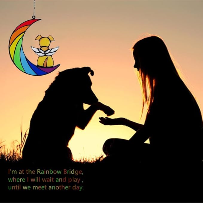 Dog Memorial Gifts, Death Sympathy Gift for Loss of Dogs, Rainbow Bridge Pet Passing Away Pet Memorial Sun Catcher Gifts