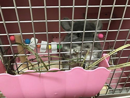 Hypeety Wooden Bird Perch Platform Pet Natural Chewing Toys Health Cage Accessories for Mouse, Chinchilla, Rat, Gerbil, Guinea-Pigs, Dwarf Hamster