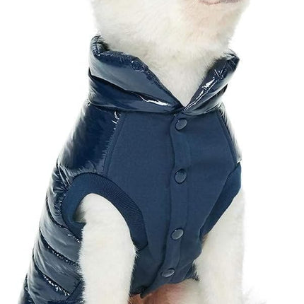 Blueberry Pet Cozy & Comfy Windproof Lightweight Quilted Fall Winter Glossy Dog Puffer Jacket in Navy Blue, Back Length 12.5", Size 10, Warm Coat for Small Dogs