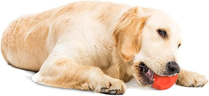 Omega Paw Authentic Tricky Treat Ball - Medium,Orange