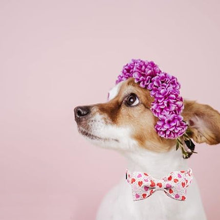 Lionet Paws Valentines Day Dog Collar with Bowtie, Dog Bowtie Collar with Metal Buckle for Dogs and Cats, Adjustable Comfortable Dog Collar Girl Boy Gift, XS, Neck 8-12 in