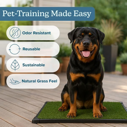 Artificial Grass Puppy Pee Pad for Dogs and Small Pets - 41X27 Inch, Reusable 4-Layer Turf Pads for Dogs with Tray - Indoor and Outdoor Fake Grass Potty Pet Supplies by PETMAKER