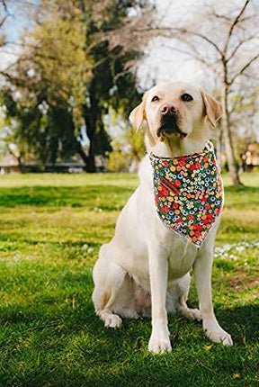 Lionheart glory Dog Bandana 1 Pack Washable Soft Cotton Daisy Print Bibs Scarf, Adjustable Kerchief Square Dog Bandanas for Small Dogs