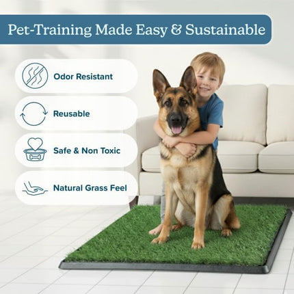 Artificial Grass Puppy Pee Pad for Dogs and Small Pets - Set of Three 35.5X23.5 Inch, Reusable 4-Layer Turf Pads for Dogs - Indoor and Outdoor Fake Grass Potty Pet Supplies by PETMAKER