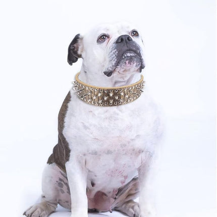 Hoot PU Leather Adjustable Spiked Studded Dog Collar 2" Wide 25 Spikes (XS(Neck 15"-18"), Golden)