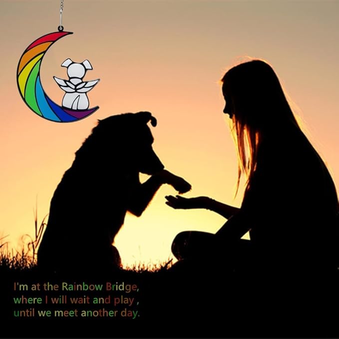 Dog Memorial Gifts, Death Sympathy Gift for Loss of Dogs, Rainbow Bridge Pet Passing Away Pet Memorial Sun Catcher Gifts