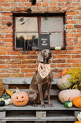 Lionheart glory Dog Bandana 1 Pack Washable Soft Cotton Halloween Pumpkin Bibs Scarf, Adjustable Kerchief Square Dog Bandanas for Small Dogs