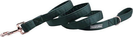 Lionet Paws Dog Leash - Silk Green Leash for Small Medium Large Dogs Matching Collar for Girl and Boy