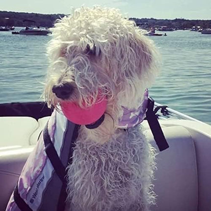 Spunky pup Dog Fetch Ball Small 2 Count (Pack of 1), (Assorted)