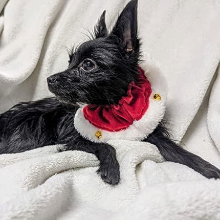 Huxley & Kent Ruff Pet Scrunchy | Santa (Medium) | Festive Christmas/Holiday Neckwear for Dogs/Cats | Fun Stretchable Costume Accessory | Soft Collar with Bells