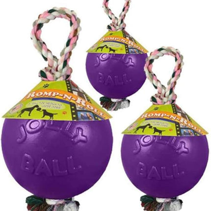 Jolly Pets Romp-n-Roll Rope and Ball Dog Toy, 8 Inches/Large, Purple, Large Breeds