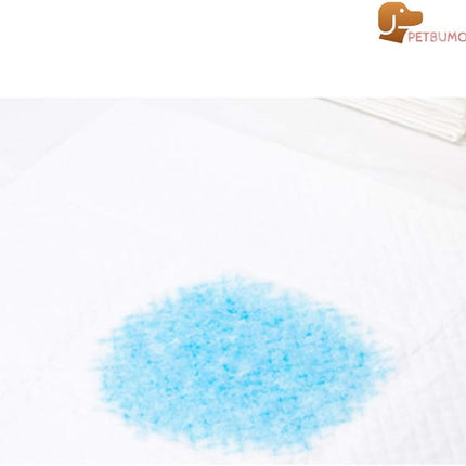 PS KOREA] Indoor Dog Potty Tray – with Protection Wall Every Side for No Leak, Spill, Accident - Keep Paws Dry and Floors Clean (Wine) + Pee PAD 100 PCS