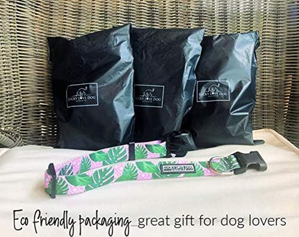 Lucky Love Dog, Tropical Matching Dog Collar & Leash Set, Soft & Comfy, Vivid Pink Color Collar and Leash for Female Male Dogs - (X-Small, Laguna Combo)