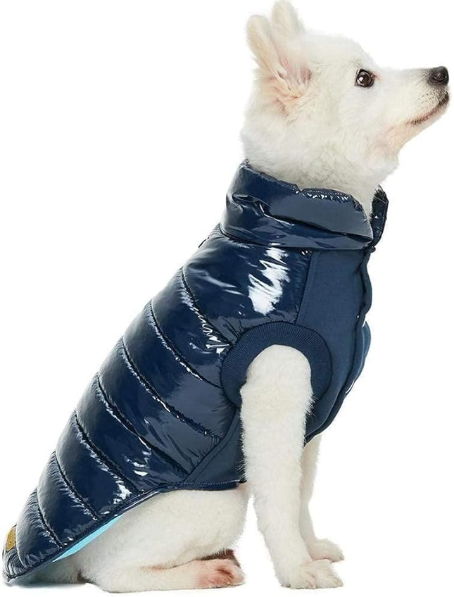 Blueberry Pet Cozy & Comfy Windproof Lightweight Quilted Fall Winter Glossy Dog Puffer Jacket in Navy Blue, Back Length 12.5", Size 10, Warm Coat for Small Dogs