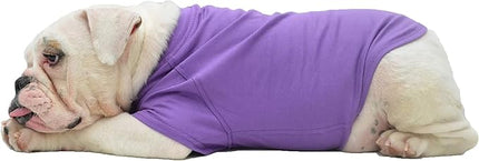 Lovelonglong Bulldog Clothes Dog Clothing Blank T-Shirt Tee Shirts for French Bulldog English Bulldog American Pit Bull Pugs 100% Cotton Skin Care Purple B-L